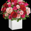 Sing them a love song - with flowers. This lush, loving rose