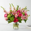 Looking to add some color and cheer to your next event? Look