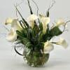 Great , simply and modern Calla Lillies will bring so much joy