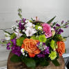 An array of vibrant colors designed to bring a touch of cheer