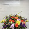 An array of vibrant colors designed to bring a touch of cheer