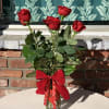 Perfect for any romantic occasion or the Valentine&#039;s Day holiday. 