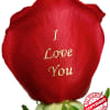 One dozen long stem roses each individually rose personalized with the message