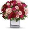 Sing her a love song - with flowers. This lush, loving rose
