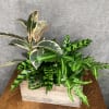 Perfect for a side table, the office desk, or anywhere for that