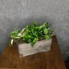 Perfect for a side table, the office desk, or anywhere for that