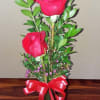 Two beautiful Red Roses in a vase. Perfect for your Valentine.

**Please Note**