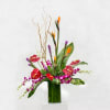 Love the islands? This assortment of tropicals is the one for you!
