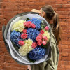 Hydrangeas mixed with spray roses