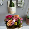 low and compact variety of flowers