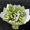 Tulips bouquet