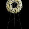 Fragrant white blossoms set among a ring of soothing greens form a