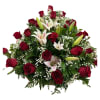 Una rosa roja es la promesa de un amor eterno.