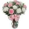 Beautiful 12 stems of carnations bouquet in a clear vase with a