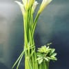 Calla lilies.
We use flowers that are available at that given time. The
