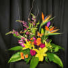 A large tropical arrangement, full of island blooms. Some flowers may vary