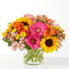 Cylinder vase arrangement of Sunflowers, Gerbera Daisy&#039;s, Spray Roses, Hypericum Berries, Alstromeria