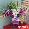 Dreaming a little dream to make the special recipient&#039;s day with this