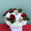 Take in the beauty of the red rose with this stunning floral
