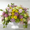 Deliver an uplifting message with a fresh array of springtime hues with
