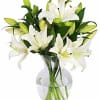 A beautiful bouquet of lilies! Available colors vary from day to day!