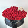 The Ultimate Statement of Luxury

Make a breathtaking impression with Royal Noir, a