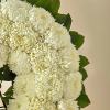 The passing of someone we love deeply requires a special tribute. The