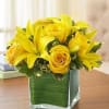 Take yellow roses to symbolize joy and happiness. Add yellow lilies for