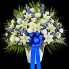 Maybe they loved the color blue&hellip;or maybe they enjoyed the calmness of