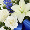 Maybe they loved the color blue&hellip;or maybe they enjoyed the calmness of