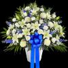Maybe they loved the color blue&hellip;or maybe they enjoyed the calmness of