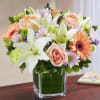 Arrangement of pastel roses, peach Gerbera daisies, white Asiatic lilies, lime green