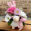 This adorable ceramic lamb is filled with daisies, a rose, filler flowers