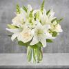 White flowers have a timelessness and elegance that brings comfort during life&rsquo;s