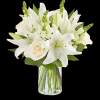 White flowers have a timelessness and elegance that brings comfort during life&rsquo;s