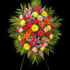 Their passion and joy for life will always be remembered. Elegantly crafted