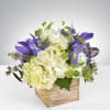 This sweet gift of hydrangeas and iris is the perfect way to