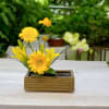 Ikebana 