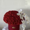 4 dozen roses in a beautiful red box with added orchids on