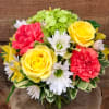 This modern compact design features a melody of citrus colors perfect for