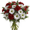 Share your heart&#039;s true feelings with this delightful red and white bouquet.