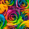 A dozen bright, colorful and fun tie dye roses with greens and