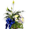 This charming plant basket features a serene Peace Lily, known for its
