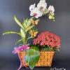 &quot;Always enjoy the Precious Moments life has to offer&quot;
Be aware that Orchids
