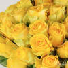 Brighten any celebration with a beautiful and brilliant bouquet of premium long-stem