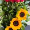 Red roses transmit passion and love Sunflowers give a glow at dawn