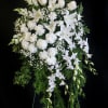 An elegant white spray featuring lilies, roses, dendrobium orchids, carnations, and snapdragons