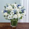 Blue is for sorrow, and white for the hope that inevitably overcomes