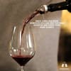 All-in-one vertical lever wine opener kit. This comprehensive set includes a foil