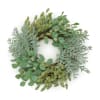 24&quot; wreath of botanically correct greenery. Limited supply.